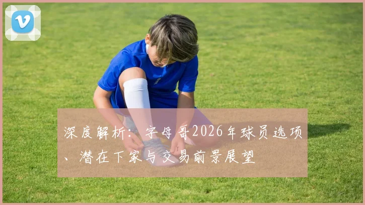 深度解析:字母哥2026年球员选项、潜在下家与交易前景展望